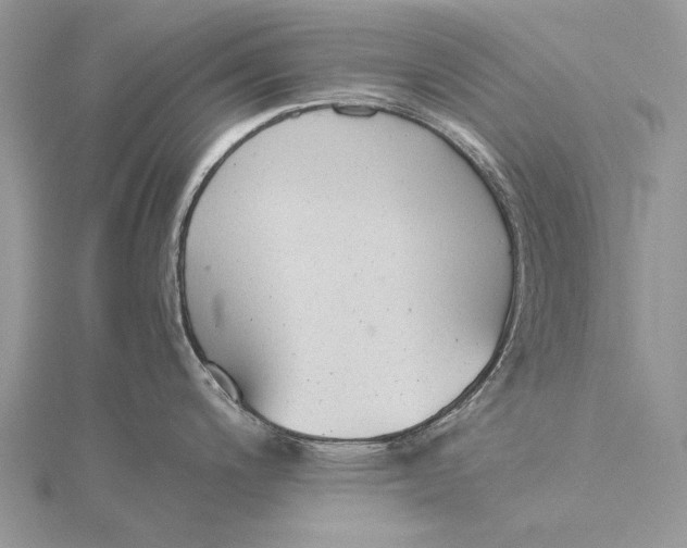 X0000115821200200912041621