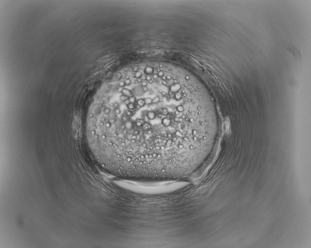 X0000115821203200912041620