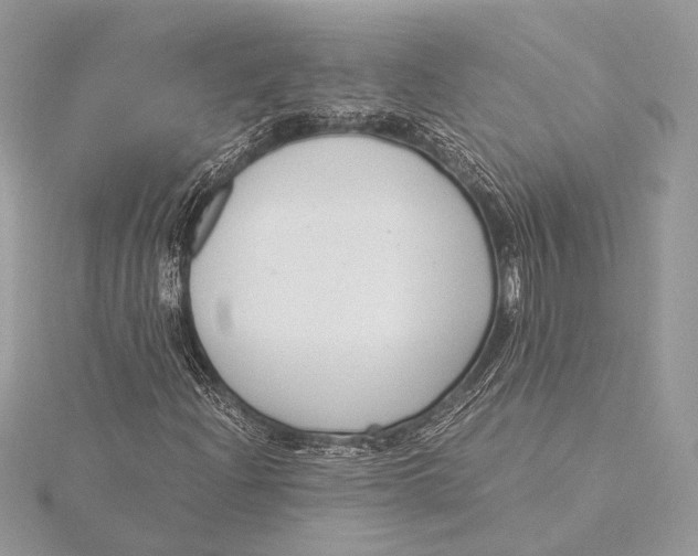 X0000115821204200912041620