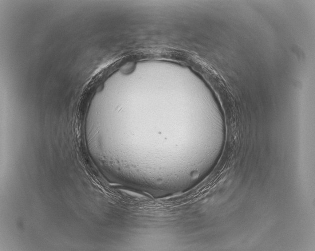 X0000115821206200912041620