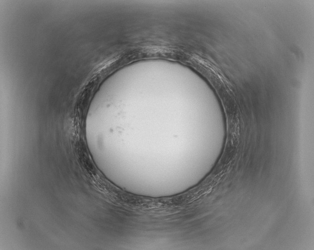 X0000115821207200912041620