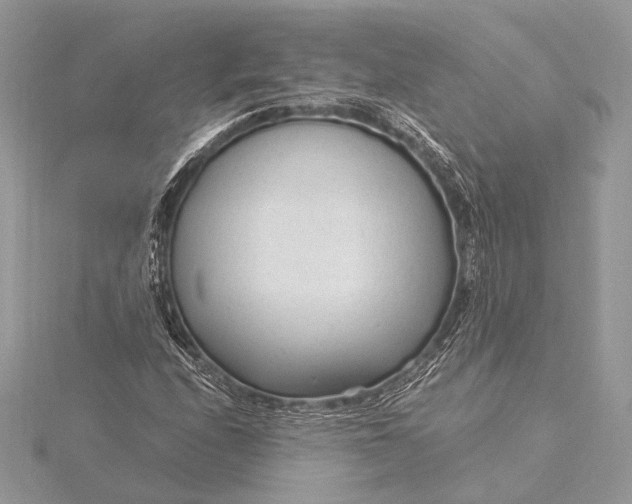 X0000115821208200912041620