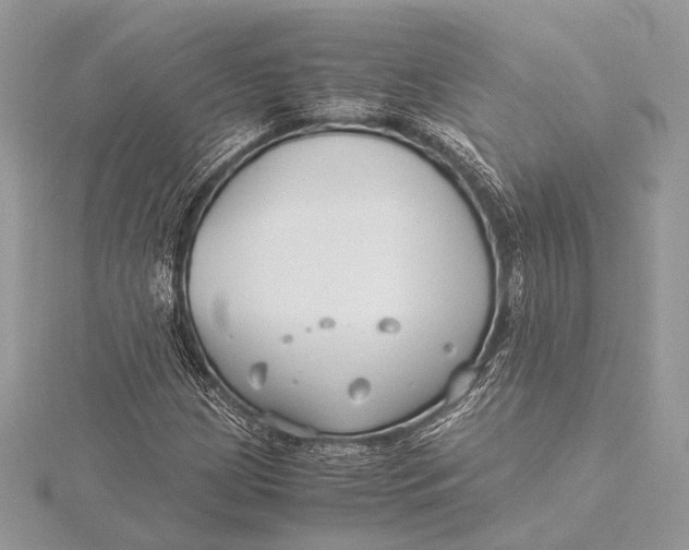 X0000115821209200912041620