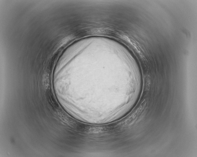 X0000115821211200912041620