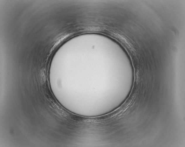 X0000115821212200912041620