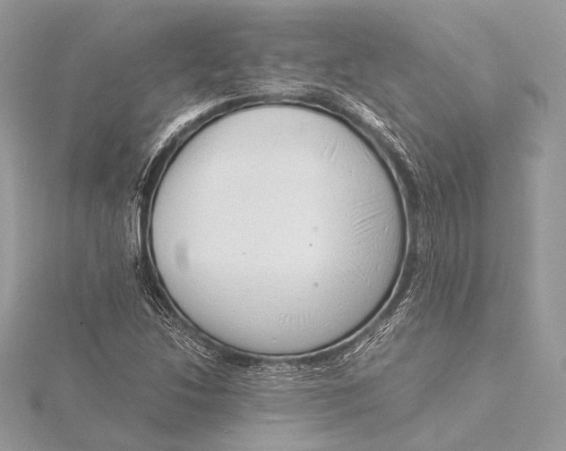 X0000115821214200912041620