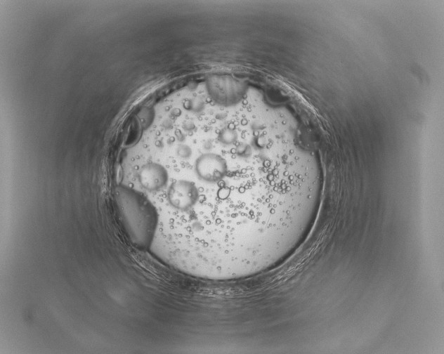 X0000115821215200912041620