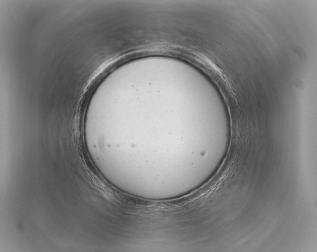 X0000115821216200912041620