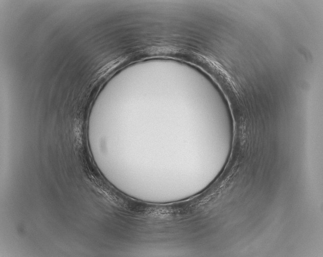 X0000115821217200912041620