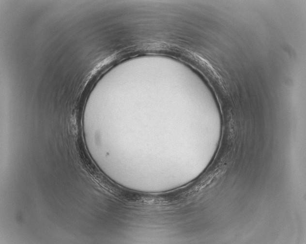 X0000115821218200912041620