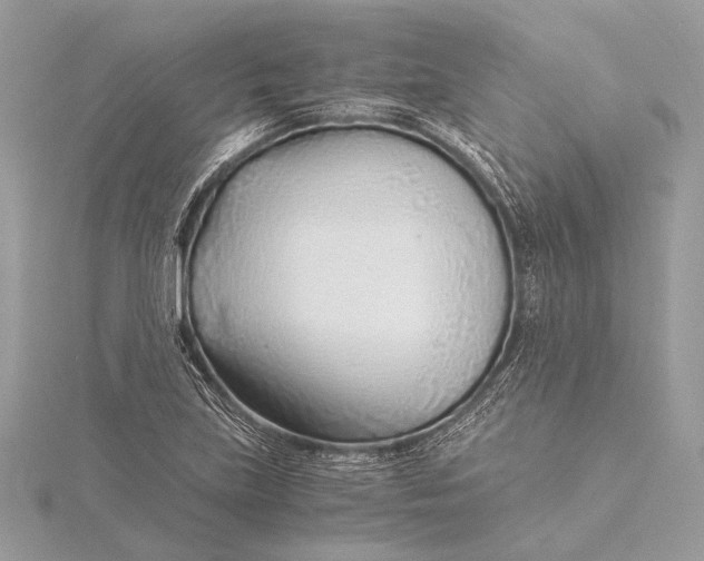 X0000115821219200912041620