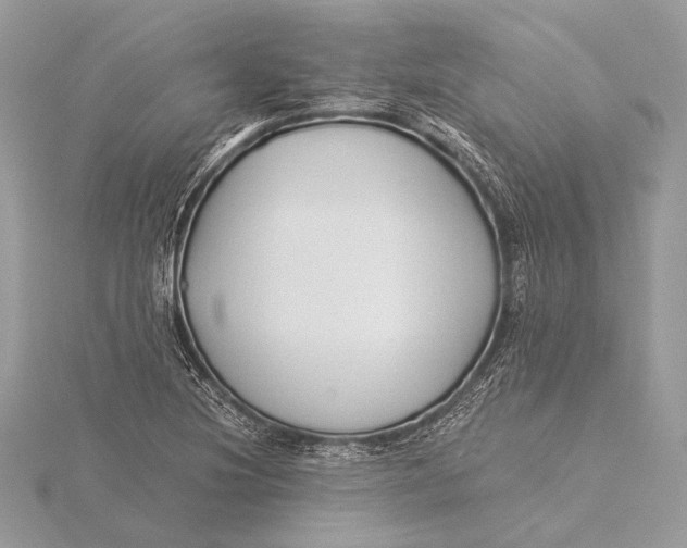 X0000115821220200912041620