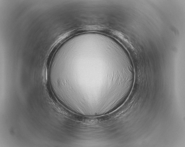 X0000115821221200912041620