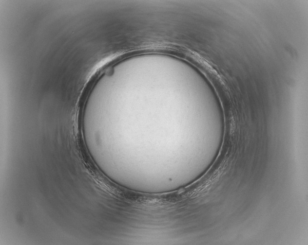 X0000115821222200912041621