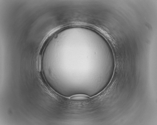 X0000115821223200912041621