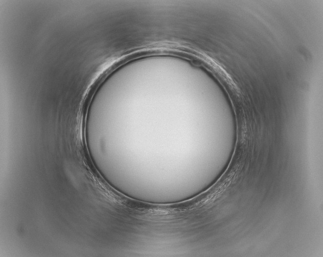 X0000115821224200912041621