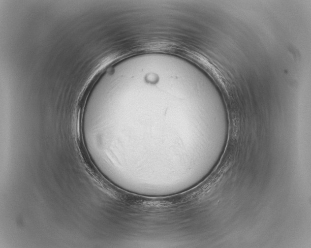 X0000115821227200912041621