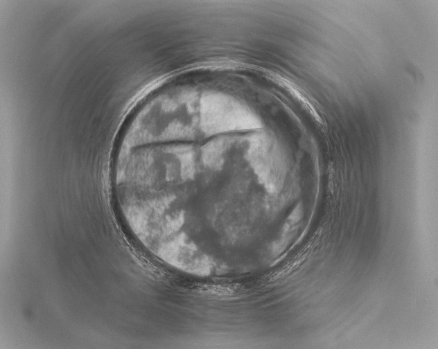 X0000115821229200912041621