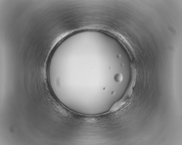 X0000115821230200912041621