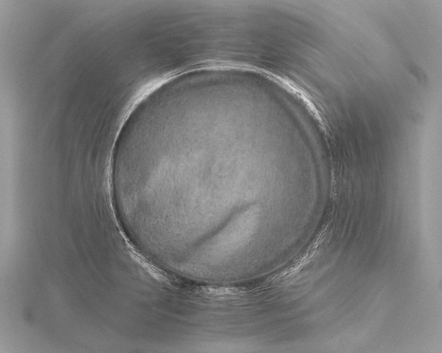 X0000115821231200912041621