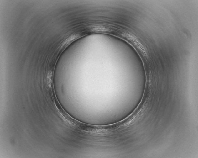 X0000115821233200912041621