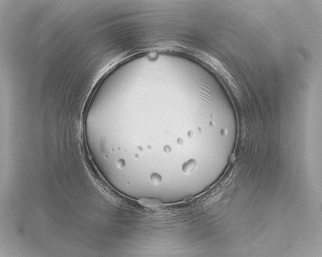 X0000115821234200912041621