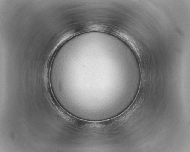 X0000115821235200912041621