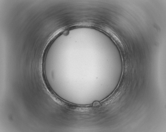 X0000115821237200912041621