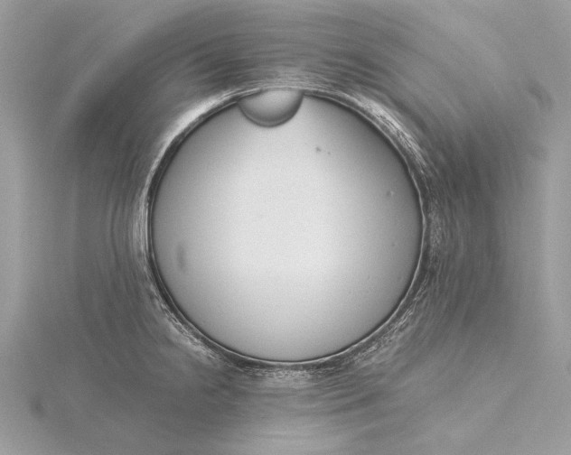 X0000115821238200912041621