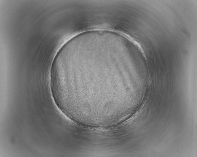 X0000115821239200912041621