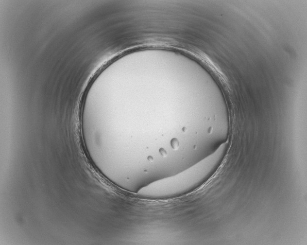 X0000115821240200912041621