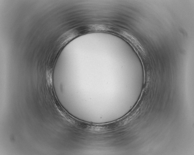 X0000115821241200912041621