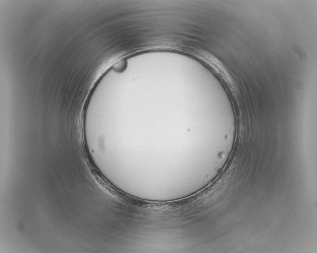 X0000115821242200912041621