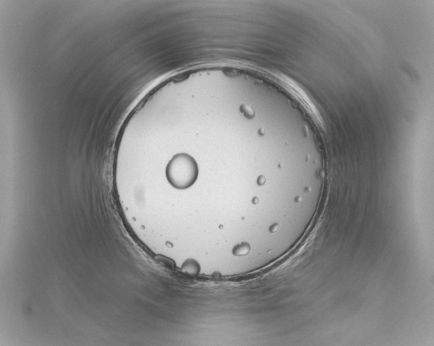 X0000115821244200912041621