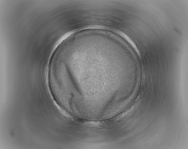 X0000115821245200912041621