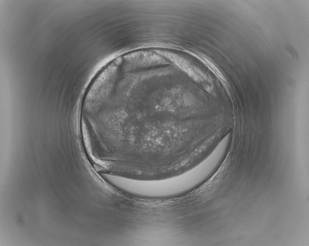 X0000115821246200912041621