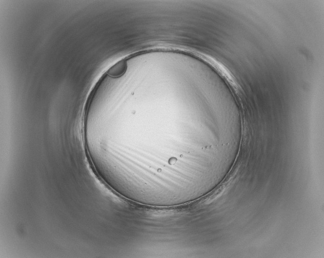 X0000115821247200912041621