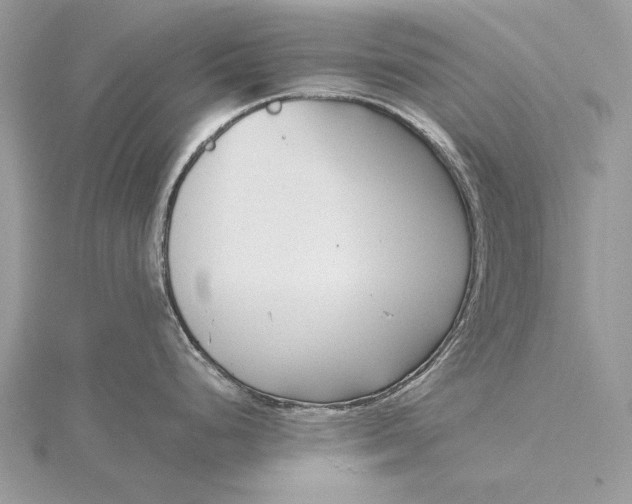 X0000115821248200912041621