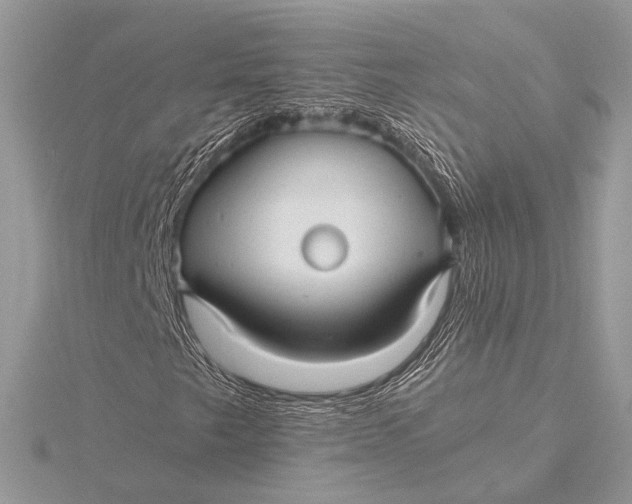 X0000115821249200912041620