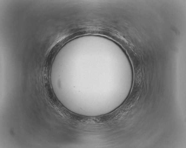 X0000115821255200912041620