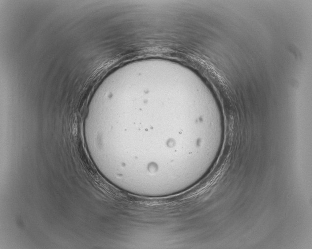 X0000115821257200912041620