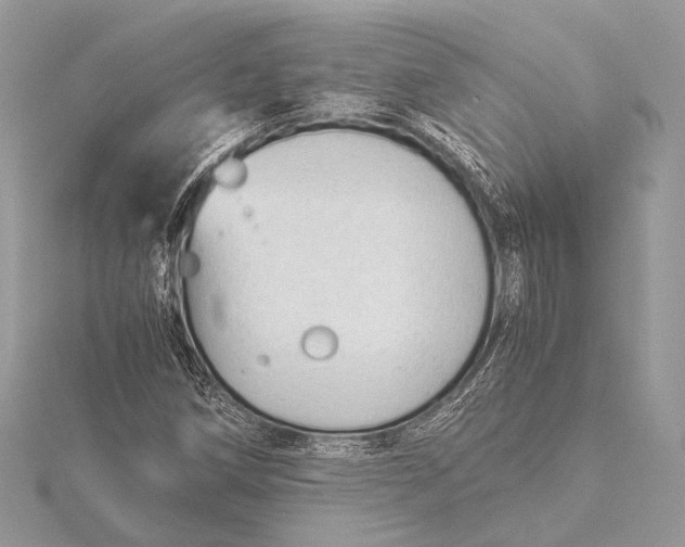 X0000115821258200912041620