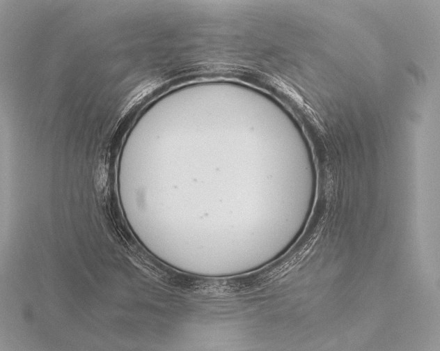 X0000115821259200912041620