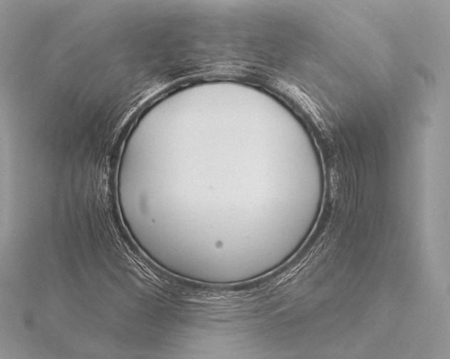 X0000115821260200912041620