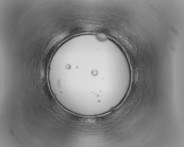 X0000115821261200912041620