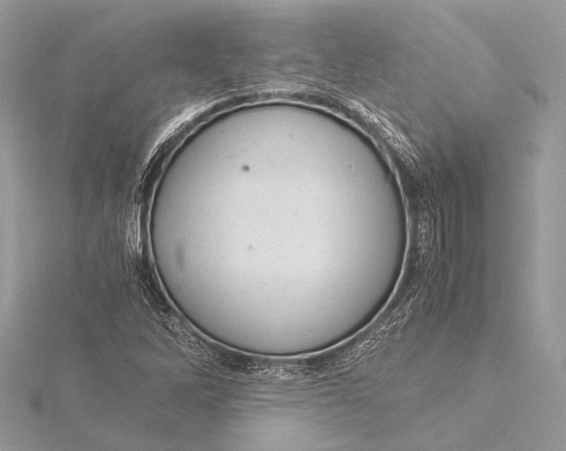 X0000115821262200912041620