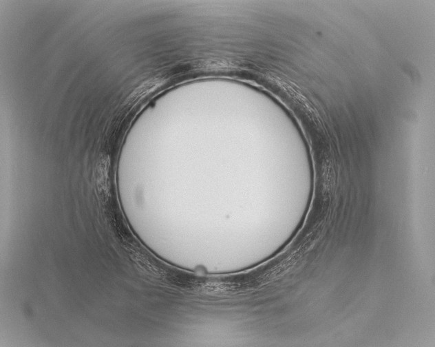 X0000115821265200912041620