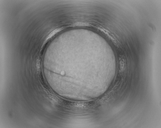 X0000115821266200912041620