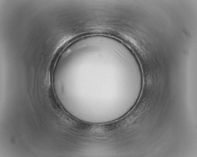 X0000115821267200912041620