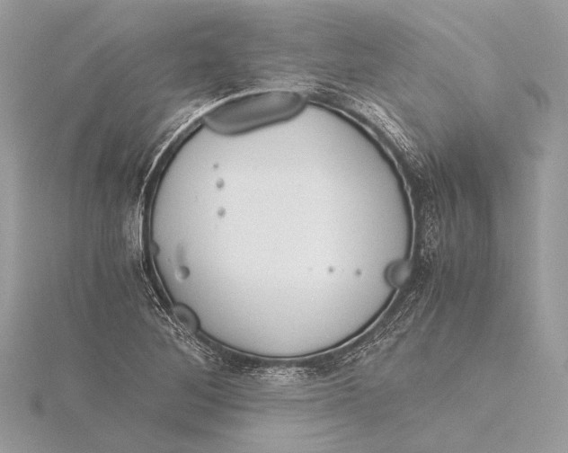 X0000115821268200912041620